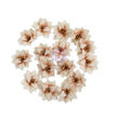 Twinkle & Treats Collection - Frosted Petals (15 pcs.) - Prima Marketing