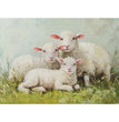Lambs of Serenity A3 Decoupage Fiber - ReDesign with Prima