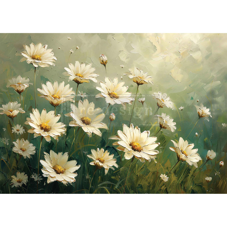 Whispering Daisies A3 Decoupage Fiber - ReDesign with Prima