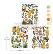 Mapleberry Glen Middy Decor Transfer - ReDesign with Prima