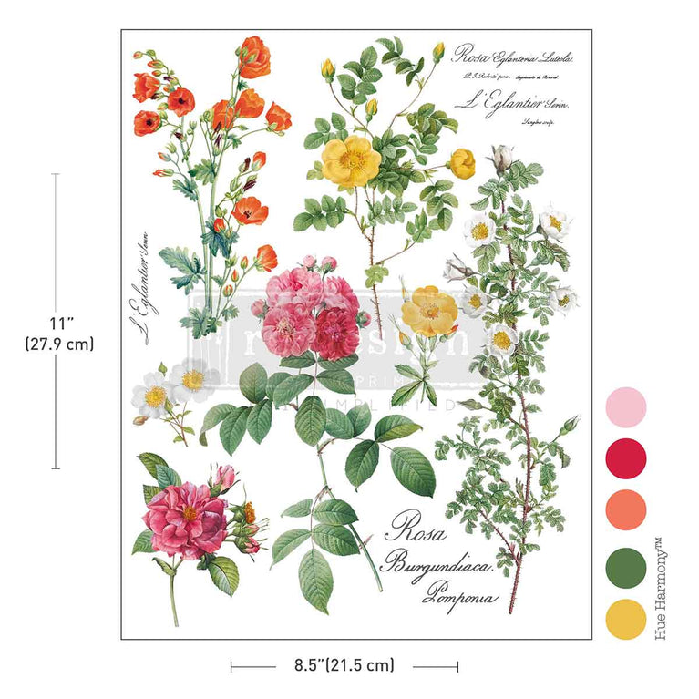Poetry in Petals H2O Decor Transfer Sheet - ReDesign with Prima