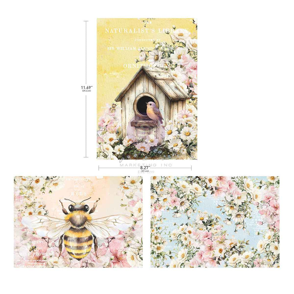 Among the Wildflowers Collection A4 Decoupage (3 Sheets) - ReDesign with Prima