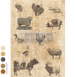 Barnyard Sketches A3 Decoupage Fiber Paper - ReDesign with Prima