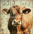 Farmstead Majesty Tissue Paper - Flippin Furniture