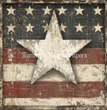Americana Tissue Paper - Flippin Furniture