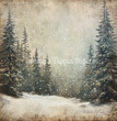 Frosted Pines 1 Tissue Paper - Flippin Furniture