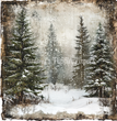 Frosted Pines 2 Tissue Paper - Flippin Furniture