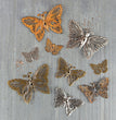 Mechanicals Grungy Butterflies - Prima Marketing