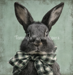 Gray Hare Tissue Paper - Flippin Furniture