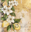Rustic Lemon Blossom (#6482) Rice Paper - AB Studios