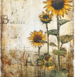 Rustic Sunflowers (#6494) Rice Paper - AB Studios