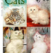 Animals 0142 Rice Paper - Paper Designs