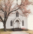 Blossoms & Blessings Tissue Paper - Flippin Furniture