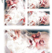 Christmas 0054 - Santa Reading Paper Letters Rice Paper - Paper Designs
