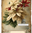 Poinsettia Rice Paper (DC131) - Decoupage Central