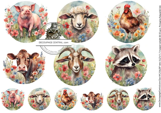 Barnyard Circles (DC193) Rice Paper - Decoupage Central