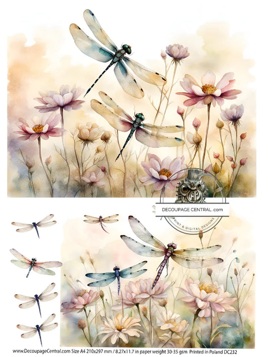 Dragonfly Fields Duo A4 Rice Paper - Decoupage Central