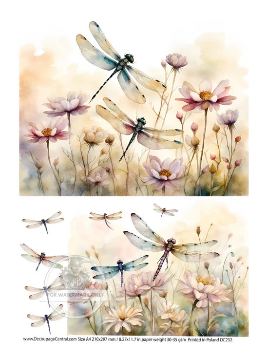 Dragonfly Fields Duo Rice Paper (DC232) - Decoupage Central