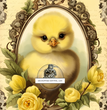 Adorable Chick Portrait Rice Paper (DC271) - Decoupage Central