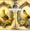 Goldfinch Duo Rice Paper (DC273)- Decoupage Central