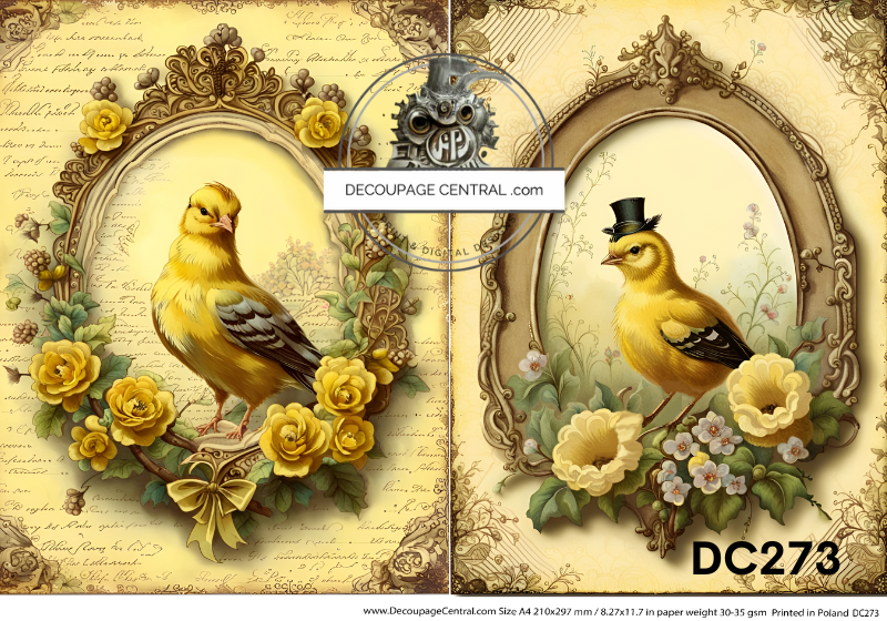 Goldfinch Duo Rice Paper (DC273)- Decoupage Central