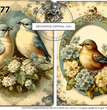 Spring Birds Rice Paper (DC277)- Decoupage Central