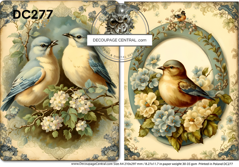 Spring Birds Rice Paper (DC277)- Decoupage Central