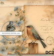 Bird & Parchment Rice Paper (DC278) - Decoupage Central