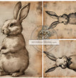 News Bunnies Rice Paper (DC342)- Decoupage Central