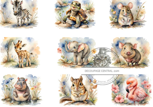 Zoo Babies Rice Paper - Decoupage Central