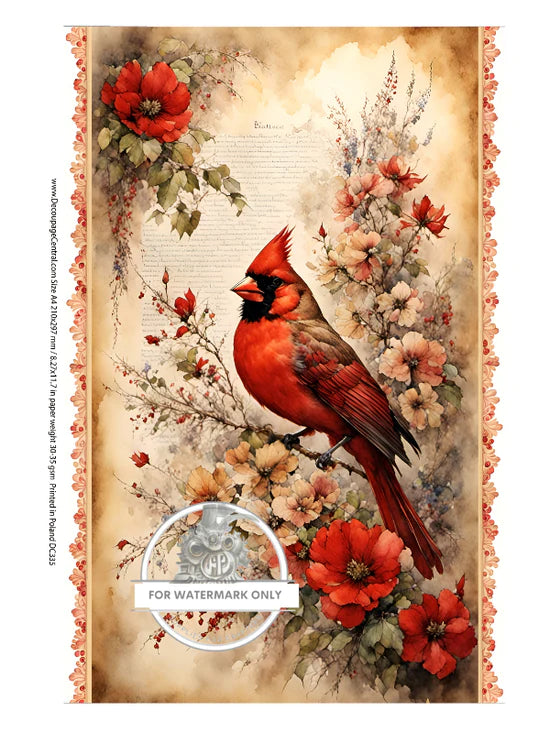 Spring Cardinal Rice Paper - Decoupage Central
