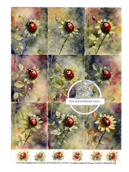 Lady Bugs Rice Paper (DC341) - Decoupage Central