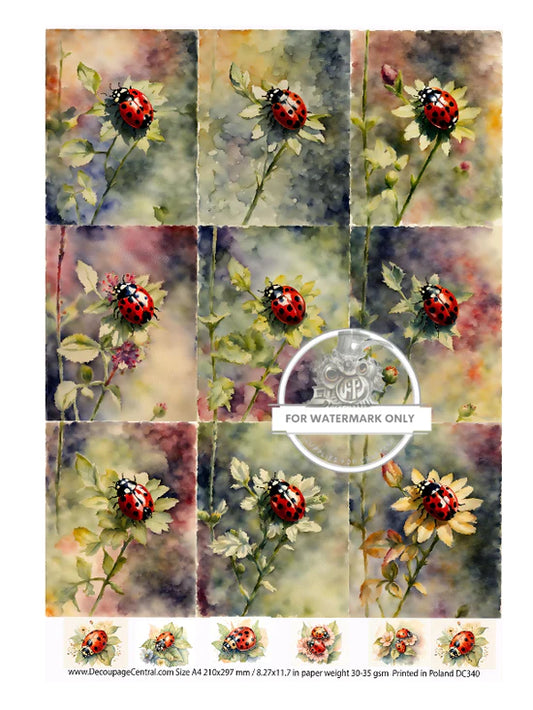 Lady Bugs Rice Paper - Decoupage Central