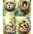 Nest Birds Multi Rice Paper (DC364)- Decoupage Central