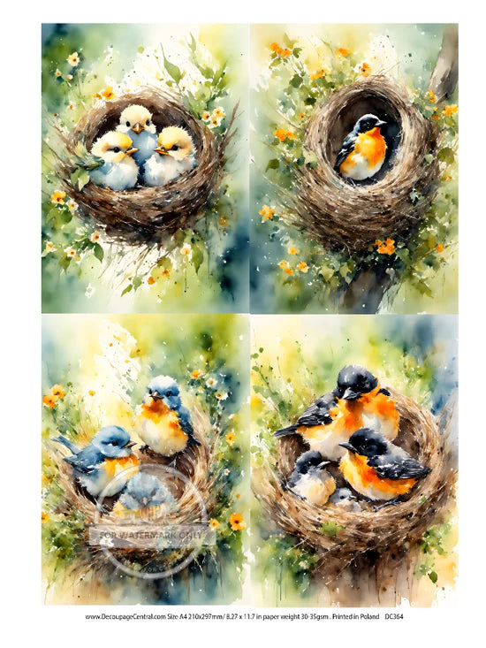 Nest Birds Multi Rice Paper (DC364)- Decoupage Central