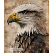 Eagle Portrait Rice Paper (DC382)- Decoupage Central