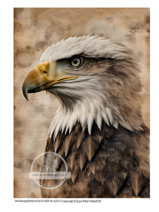 Eagle Portrait Rice Paper - Decoupage Central