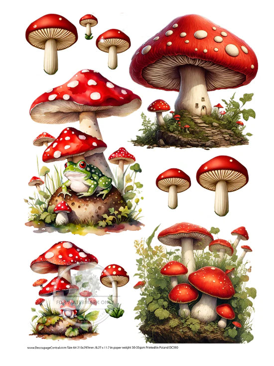 Mushrooms N Toads Rice Paper (DC385)- Decoupage Central