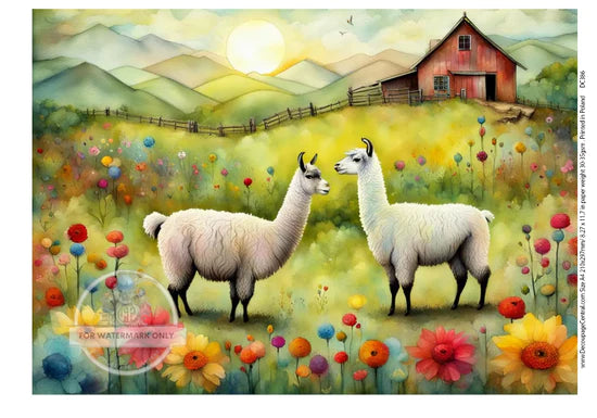 Llama Love Rice Paper (DC386)- Decoupage Central