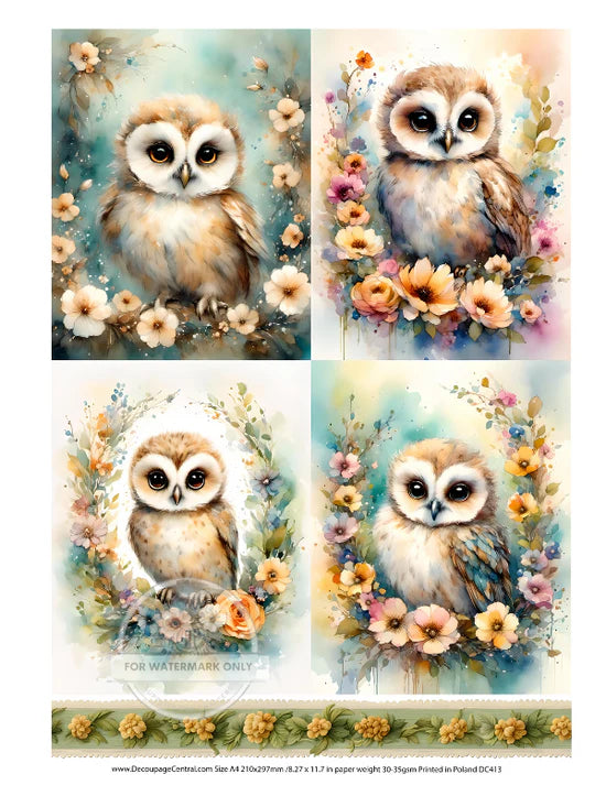 Owlie Quad Rice Paper (DC413)- Decoupage Central