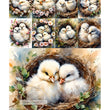 Cute & Cuddly Nest Multi Rice Paper (DC422)- Decoupage Central