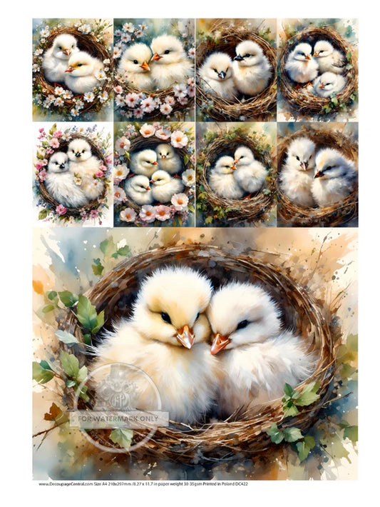 Cute & Cuddly Nest Multi Rice Paper - Decoupage Central