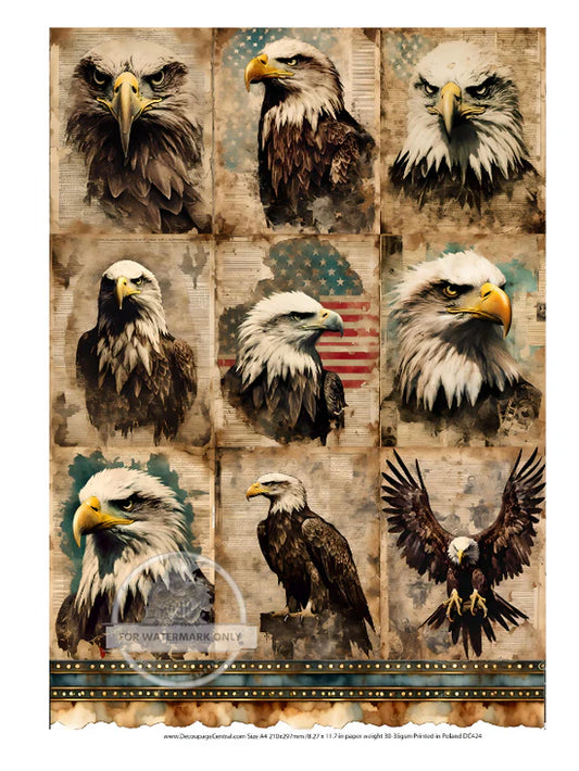 Eagle Portraits Rice Paper - Decoupage Central