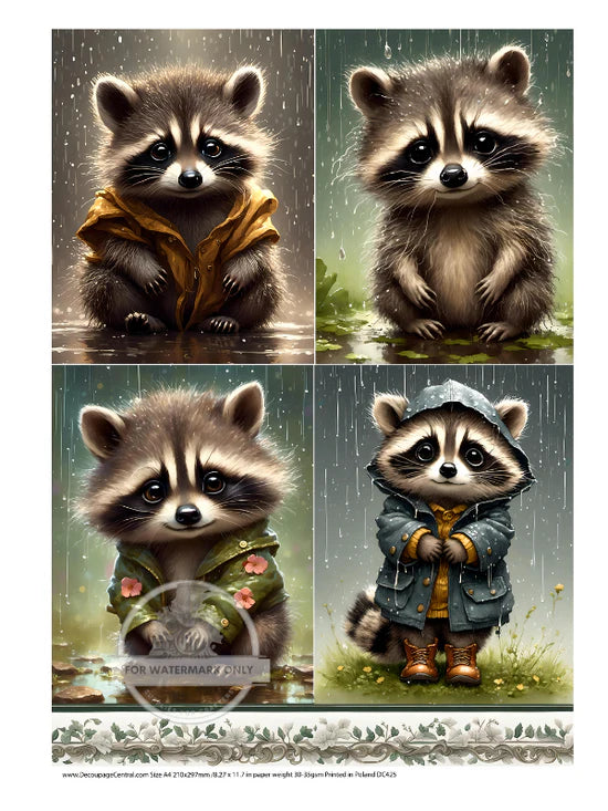 Rainy Raccoon Quad Rice Paper - Decoupage Central