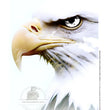 Flyover Country Portrait Rice Paper (DC467)- Decoupage Central
