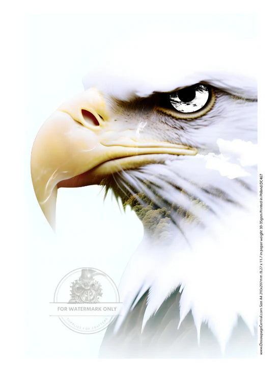 Flyover Country Portrait Rice Paper (DC467)- Decoupage Central