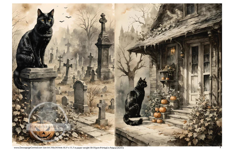 Halloween Black Cat Duo Rice Paper (DC472) - Decoupage Central