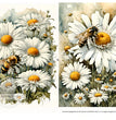 Daisies & Bees Duo Rice Paper (DC513) - Decoupage Central