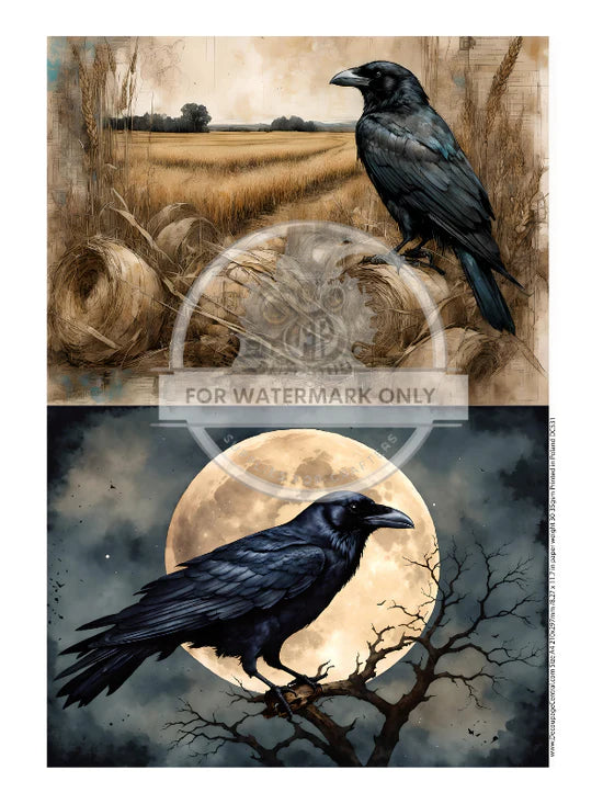 The Halloween Crow Duo Rice Paper (DC531) - Decoupage Central