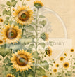 Sunflower Dreamin Rice Paper - Decoupage Central